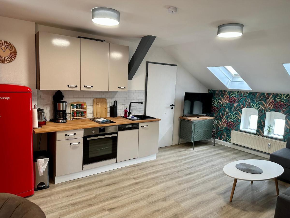 Apartment Zum Bunten Schmetterling Inkl. Parkplatz إرفورت المظهر الخارجي الصورة